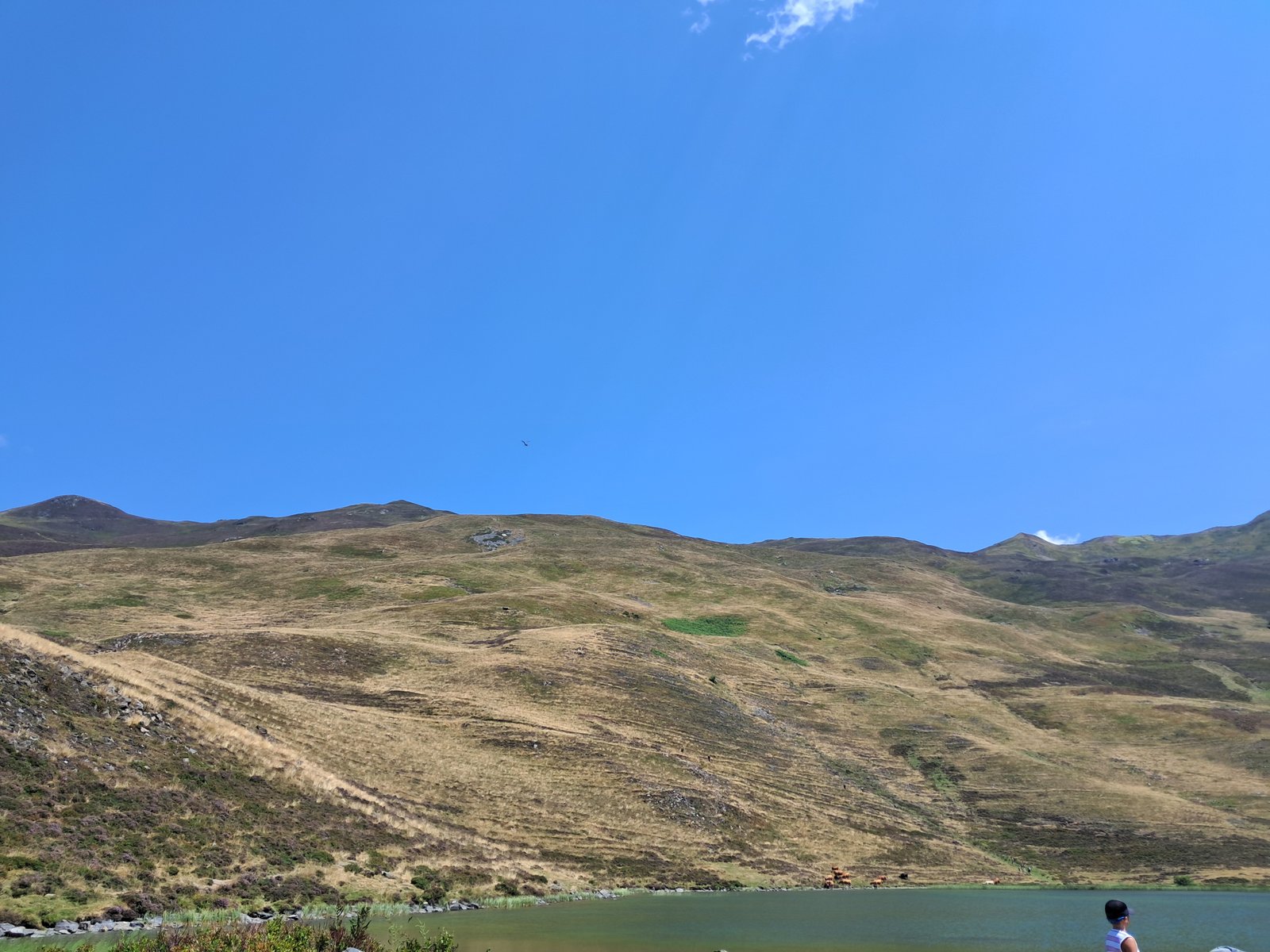 Gîte La Providence Beaucens - 20250807 141017